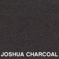 Joshua-Charcoal